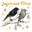 Oiseaux chantants pour des f&ecirc;tes joyeuses